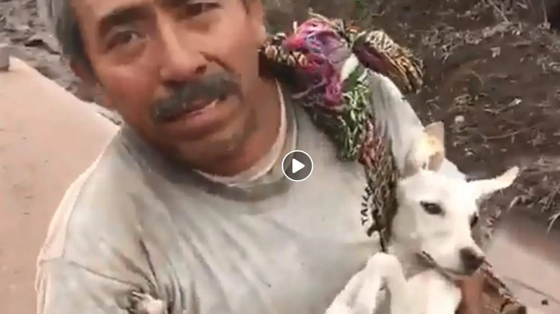 rescata a su perro en guatemala